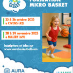 Formation animateur micro basket