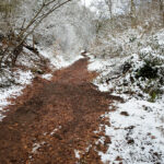 Un week-end Basket Santé au cœur des volcans