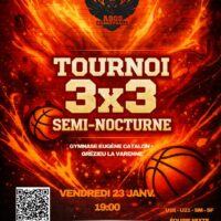 Vignette pour l'image de la liste principale